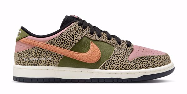 Arts &amp; Rec Dunk Low Pro QS