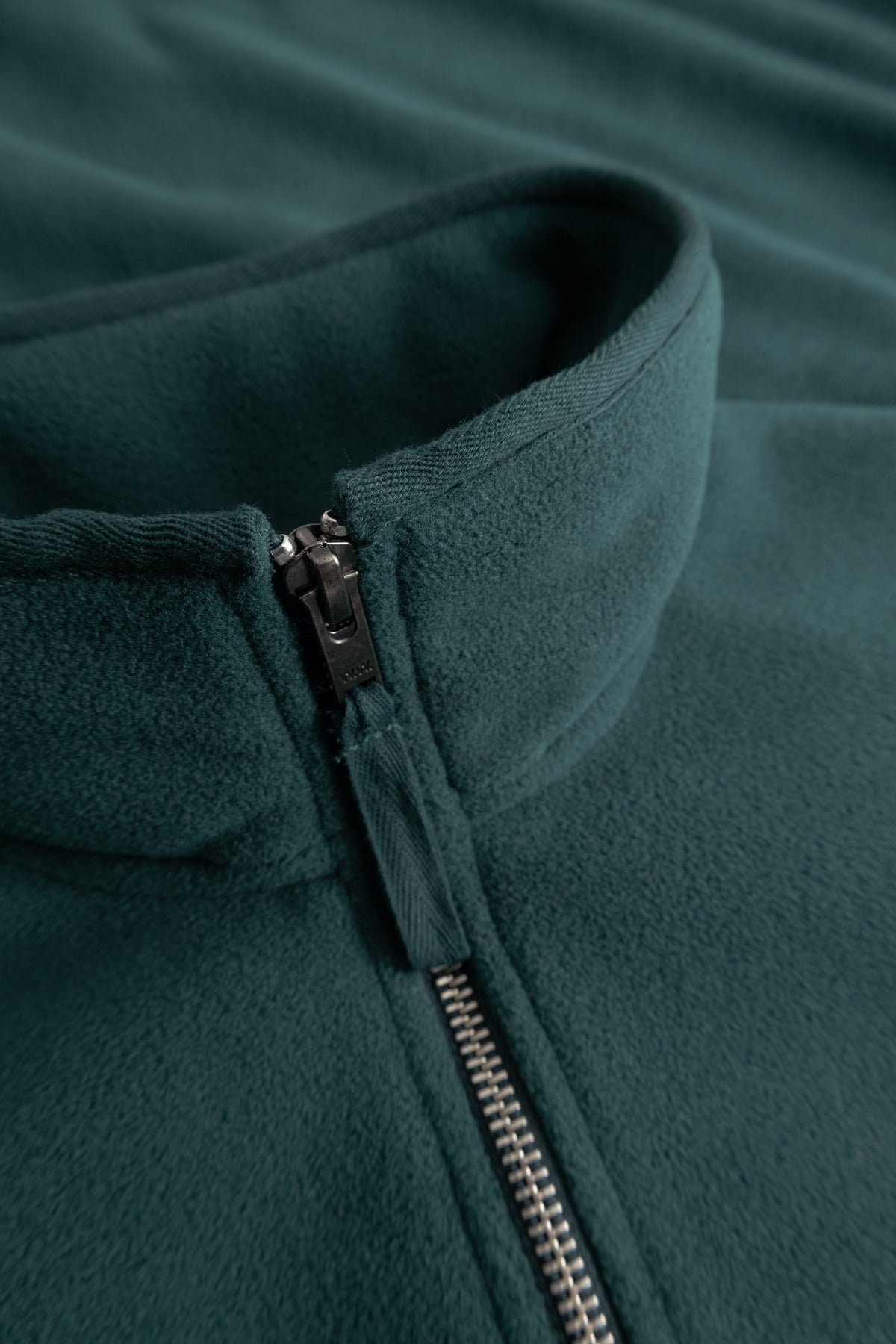 Ponderosa Pine - Green de