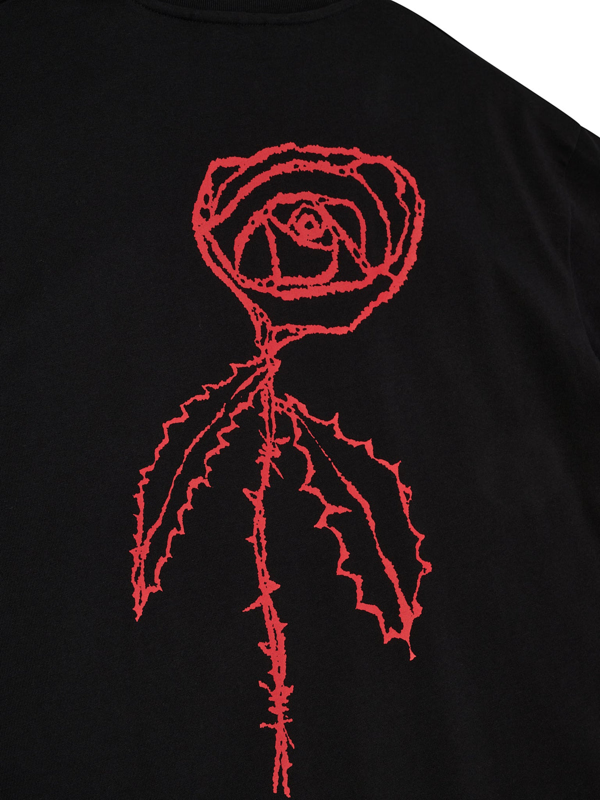 Broke Rose
