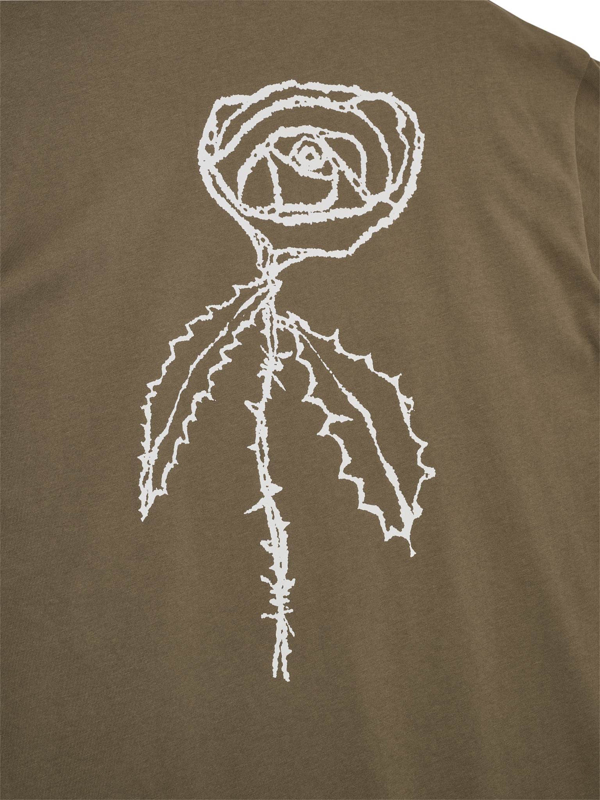 Broke Rose